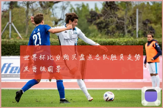 世界杯比分购买盘点各队胜负走势及晋级前景